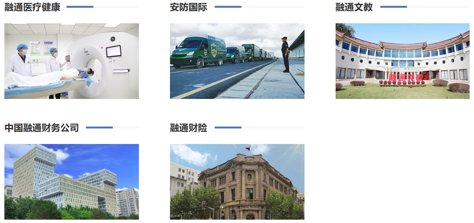 <p>融通医疗健康</p> <p>安防国际</p> <p>融通文教</p> <p>中银业</p> <p>中国融通财务公司</p> <p>融通财险</p>